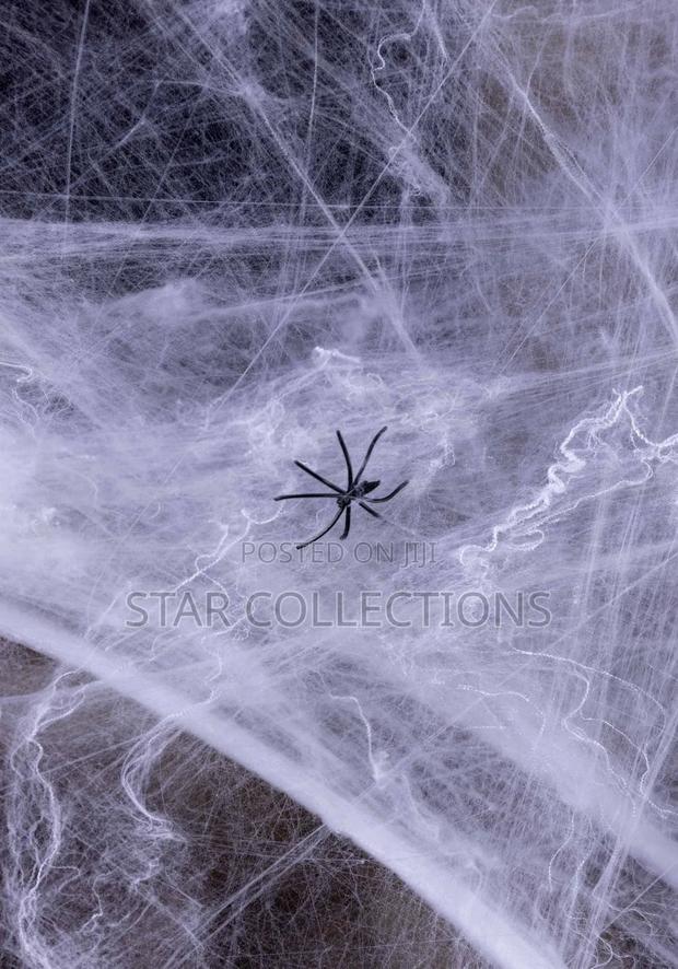 Spider Cob Web Stretch - thumbnail 5