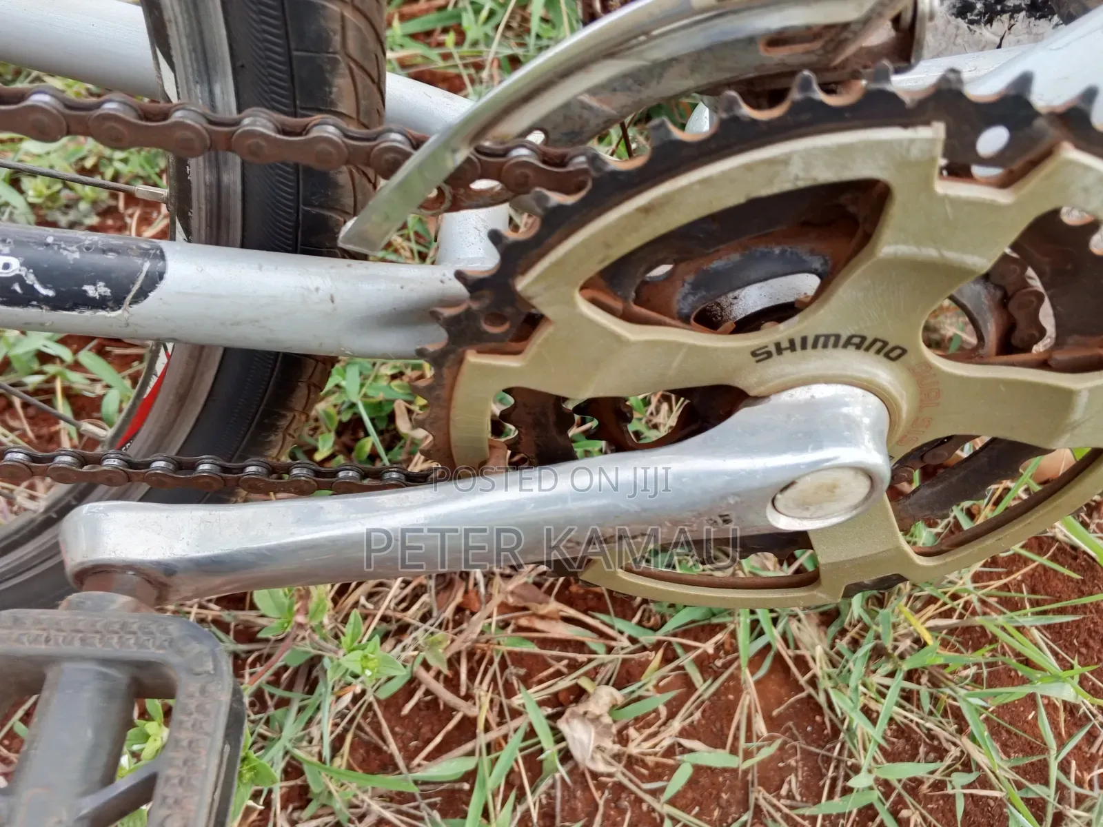 Mountain Bike