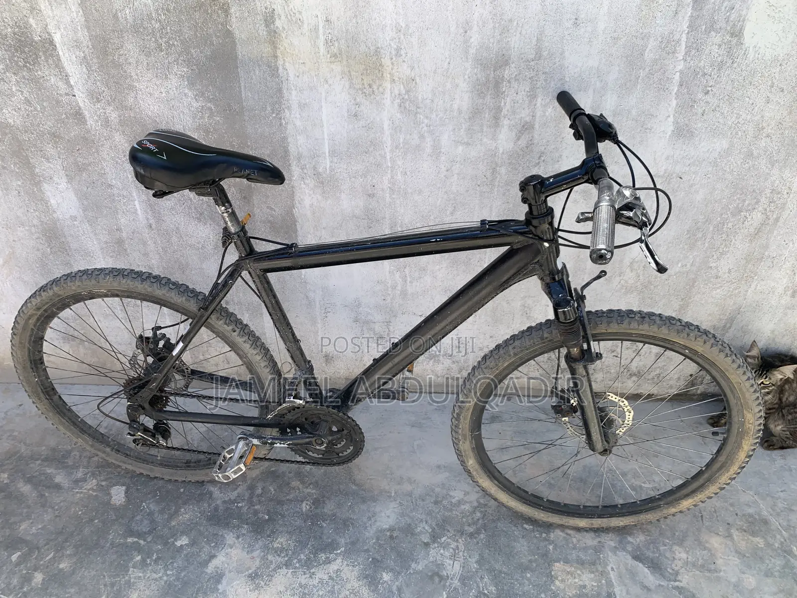 Bicycle at Cheap Price