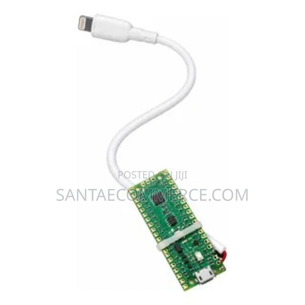 USB-C to Lightning Engineering Test Cable (P/N 591-0572) With Debug - main view