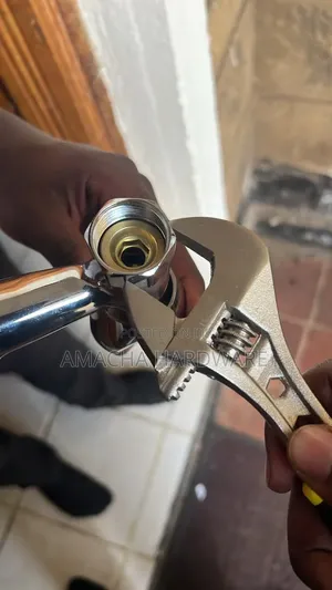 10" Adjustable Spanner