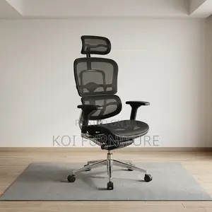 Office Chairs; Orthopedic Supreme Office Chair