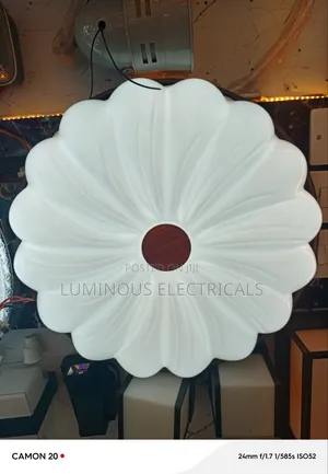 Modern Ceiling Chandelier