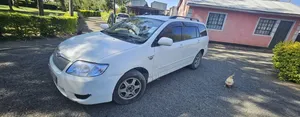 Toyota Corolla Fielder 2007 White