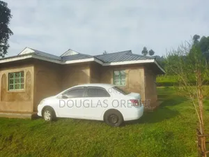 Toyota Belta 2012 White