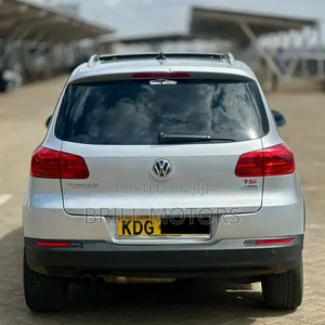Volkswagen Tiguan 2014 Silver