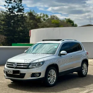 Volkswagen Tiguan 2014 Silver