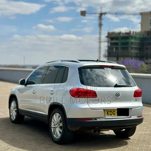 Volkswagen Tiguan 2014 Silver