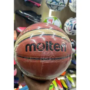 Molten Basketball Size 7
