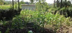 Prime Plot for Sale in Ngong Matasia