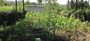 Prime Plot for Sale in Ngong Matasia