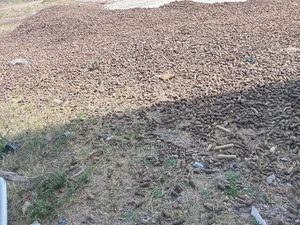 Dry Maize Cobs(msogoro)