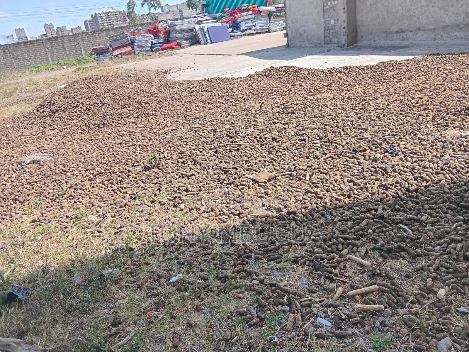 Dry Maize Cobs(msogoro)