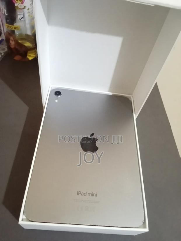 Apple iPad mini (2024) 128 GB Gray