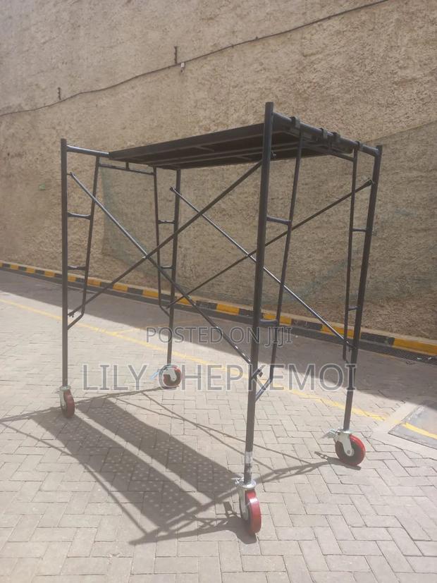 Scaffolding Ladder H/D