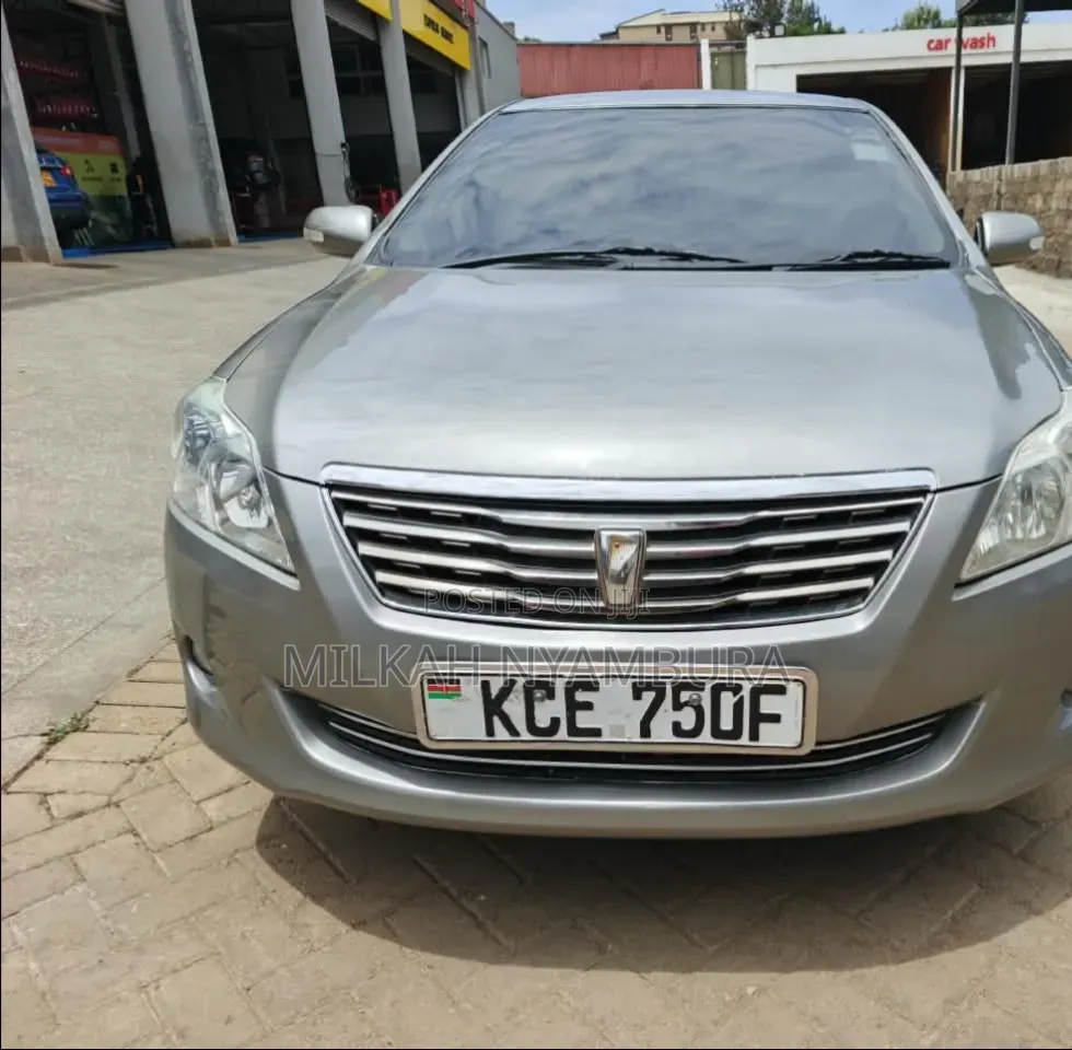 Toyota Premio 2009 Silver