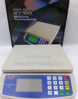 DT 580 30Kg Mini Price Computing Scale