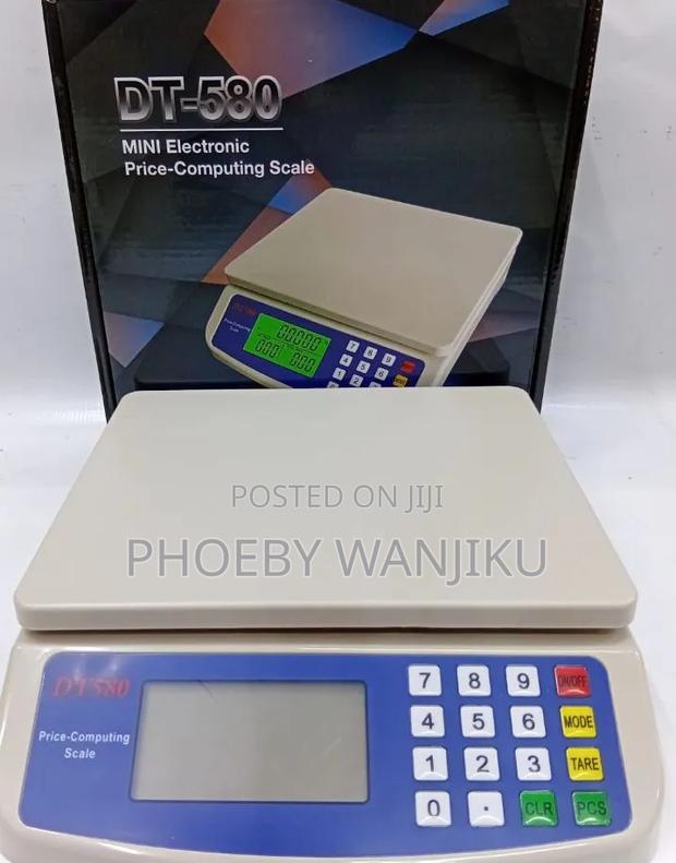 DT 580 30Kg Mini Price Computing Scale