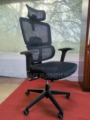 Black Ergonomic Mesh Executive Office Chair With Adjustable Headrest