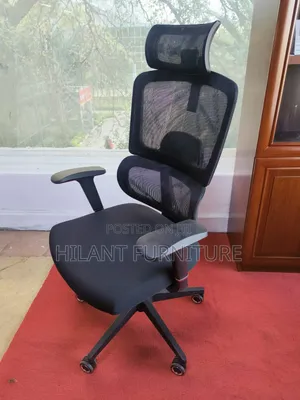 Black Ergonomic Mesh Executive Office Chair With Adjustable Headrest