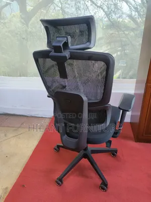 Black Ergonomic Mesh Executive Office Chair With Adjustable Headrest