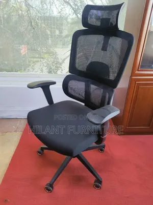 Black Ergonomic Mesh Executive Office Chair With Adjustable Headrest