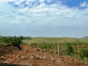 Western Hills – 1/8 Acre Residential Plots for Sale in Dago, Kisumu