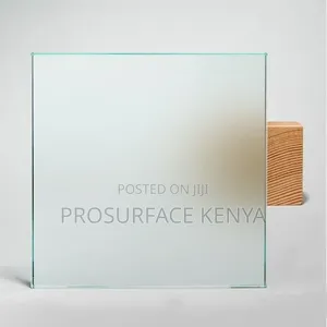 Frosted Window Film for Stylish Home Privacy