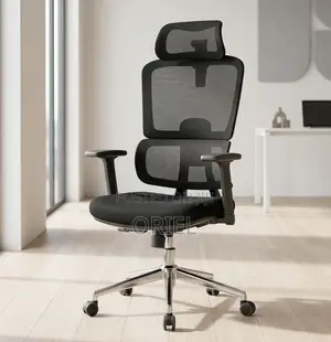 Orthopedic Executive Mesh Office Chair – Ergonomic High-Back Seat