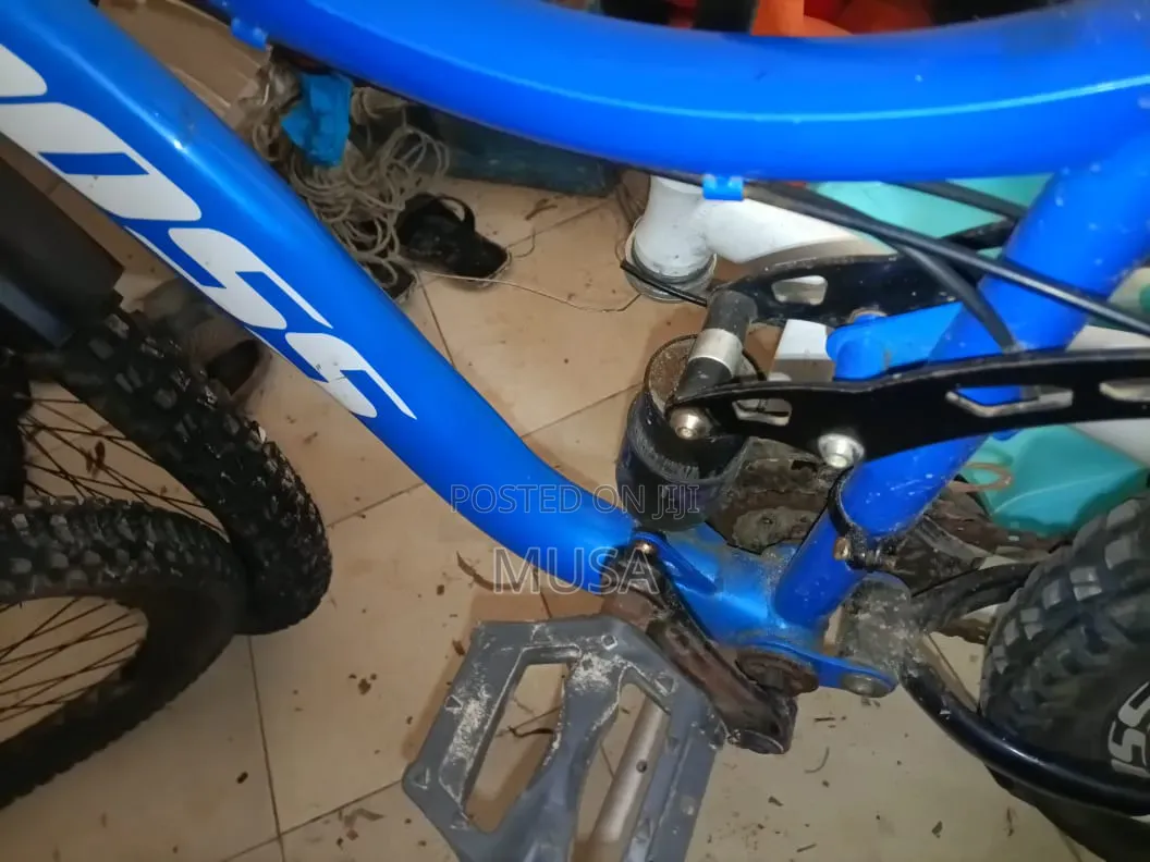 Mountain Bike