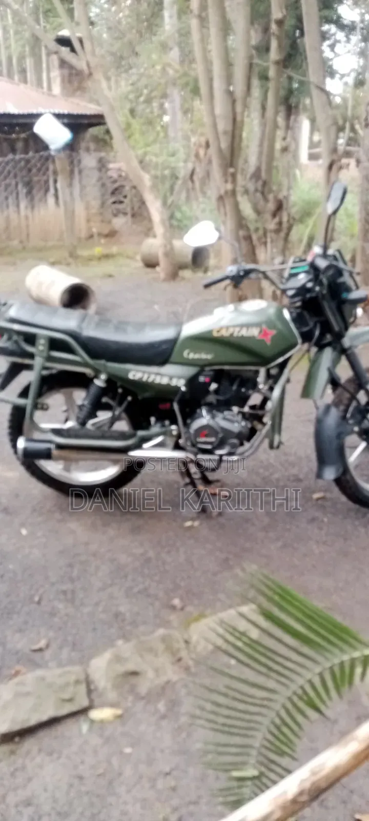 Captain CP175 2022 Green