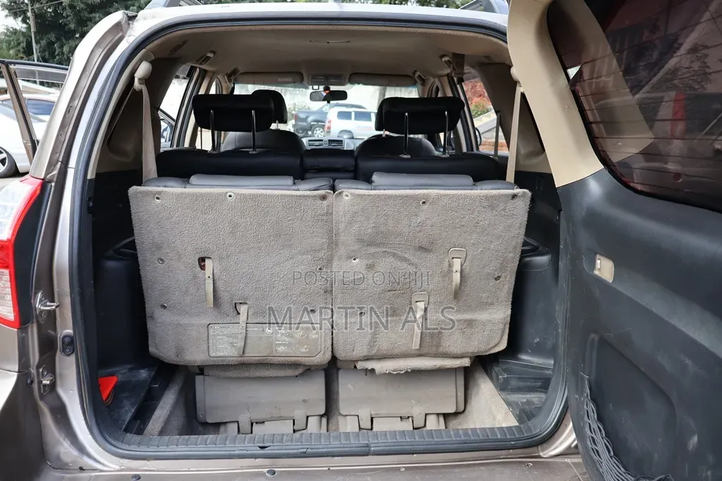 Toyota Vanguard 2008 Beige