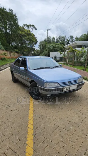 Peugeot 405 1996 Blue