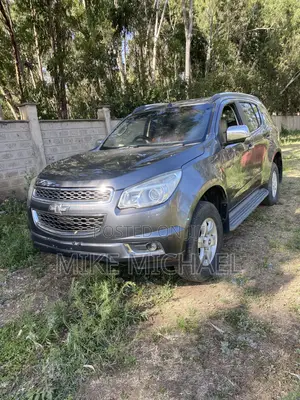 Chevrolet Trailblazer 2014 Gray