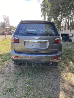 Chevrolet Trailblazer 2014 Gray
