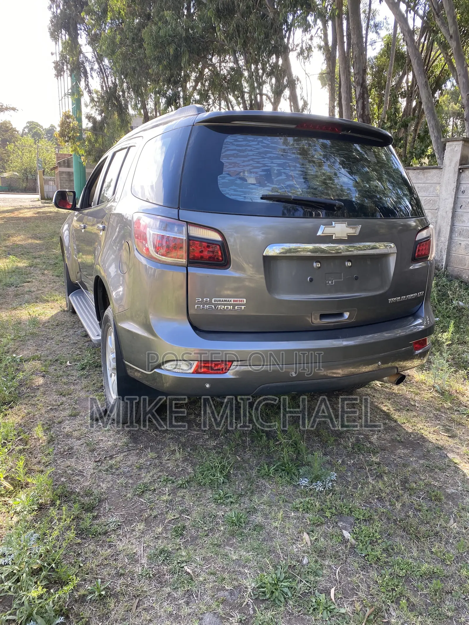 Chevrolet Trailblazer 2014 Gray