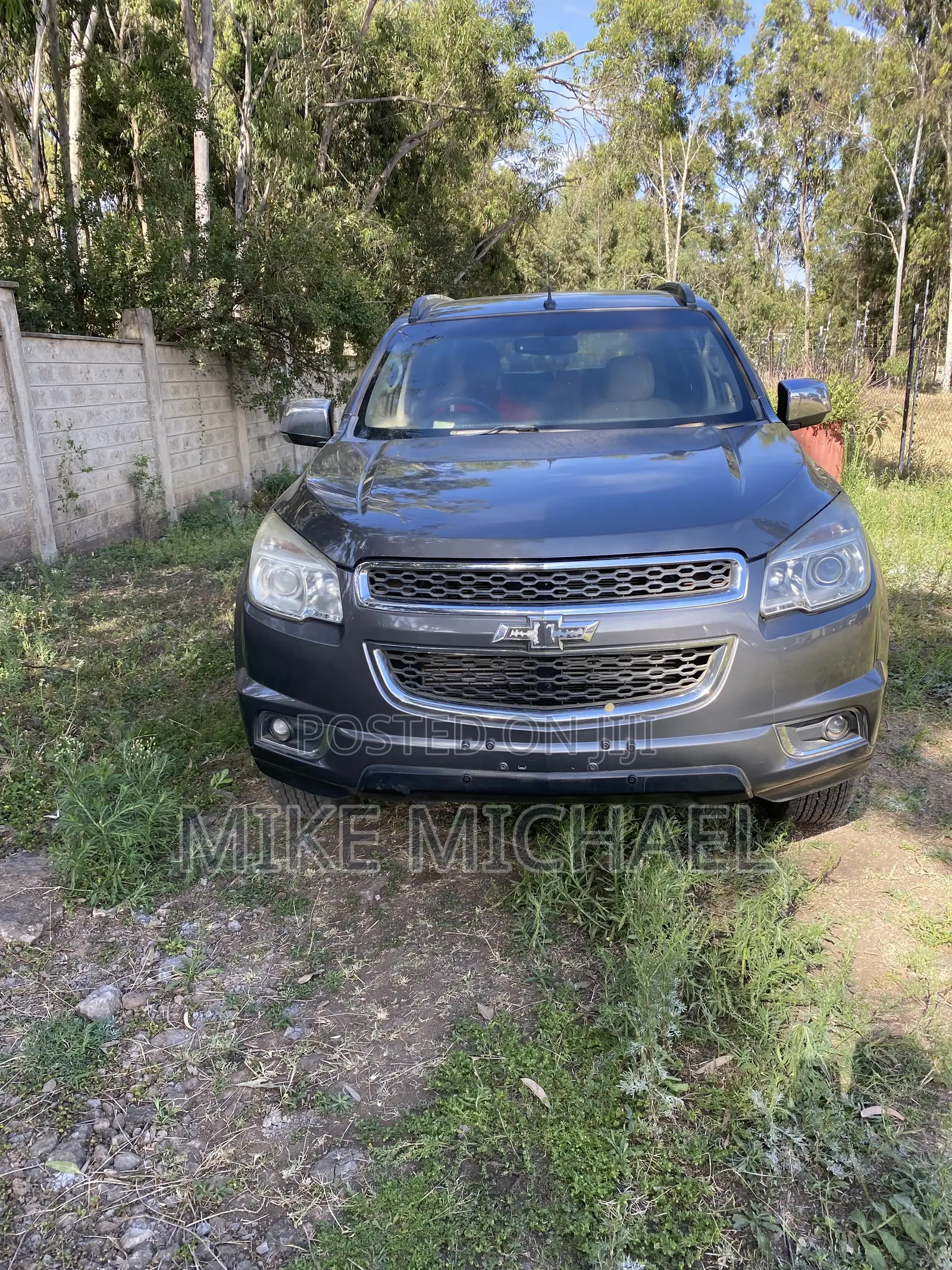 Chevrolet Trailblazer 2014 Gray