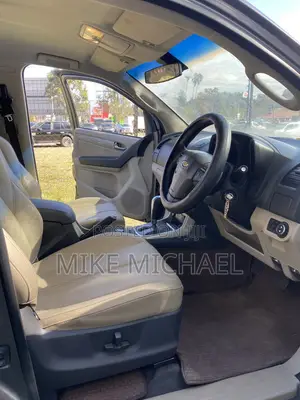 Chevrolet Trailblazer 2014 Gray