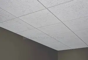 Acoustic Ceiling Tiles