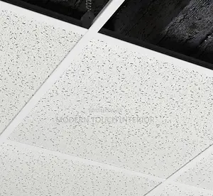 Acoustic Ceiling Tiles