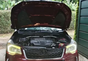 Subaru Forester 2019 Red