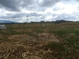 17 Acres Land for Sale