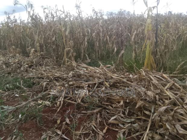 17 Acres Land for Sale - thumbnail 5