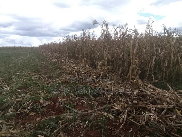 17 Acres Land for Sale - thumbnail 6