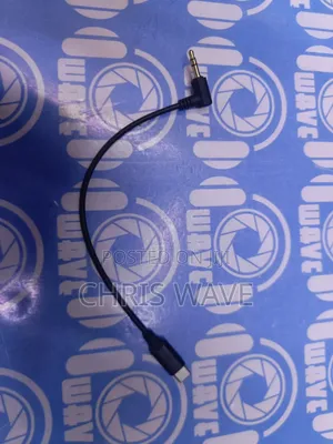 Mic to Type C Cable