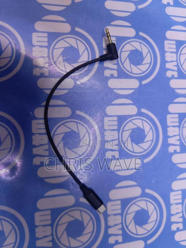 Mic to Type C Cable - main view