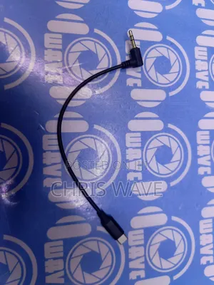 Mic to Type C Cable
