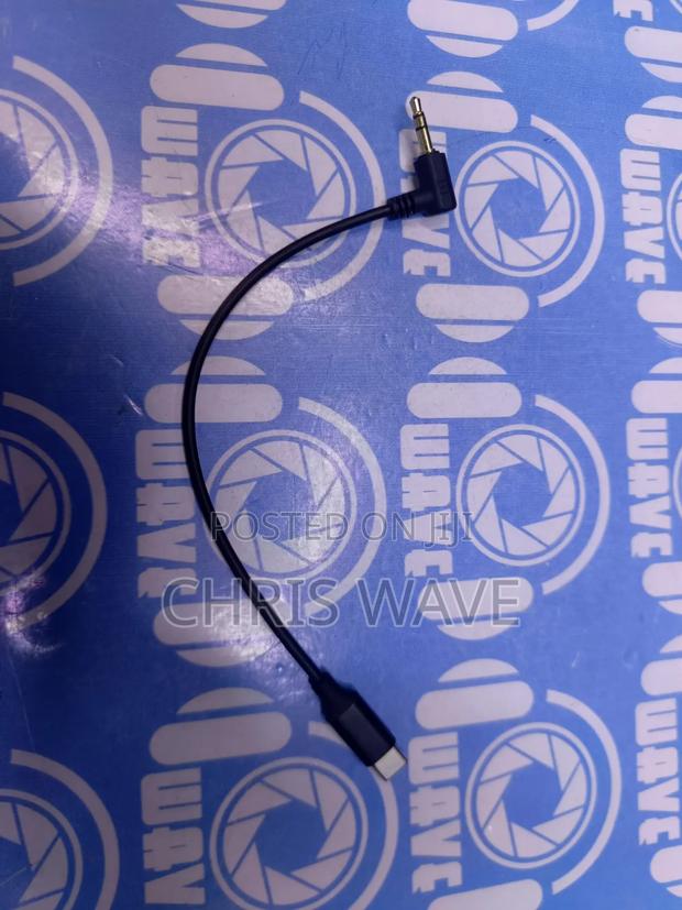 Mic to Type C Cable - thumbnail 2