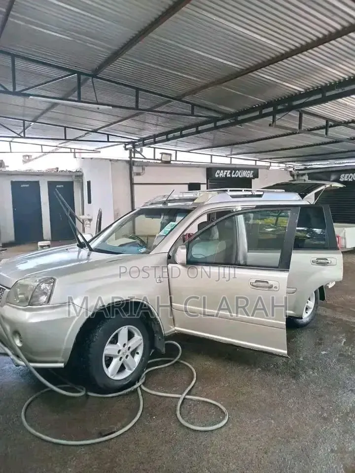 Nissan X-Trail 2.0 2006 Beige