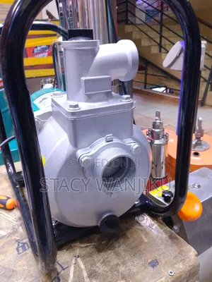 900 Watts Premier Water Pump/ DC Pump
